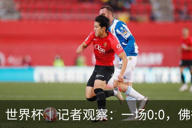世界杯｜记者观察：一场0:0，佛得角为何如此振奋